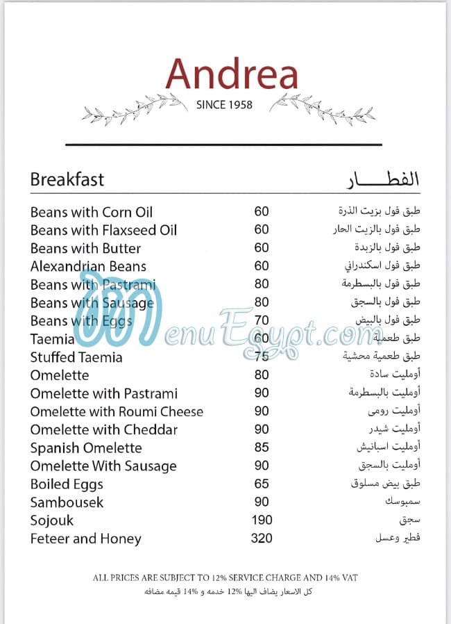 Andrea menu 1