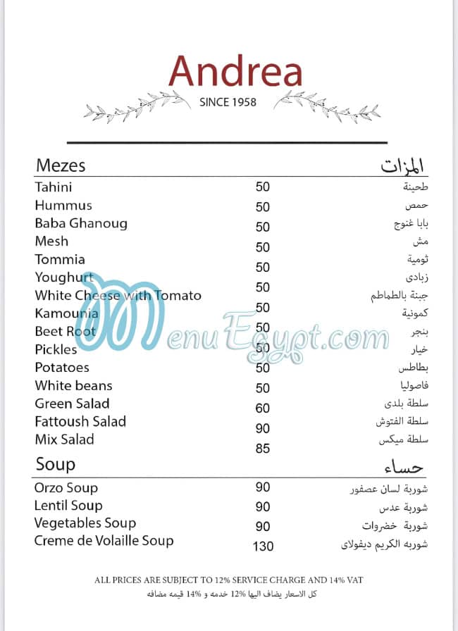 Andrea menu 2