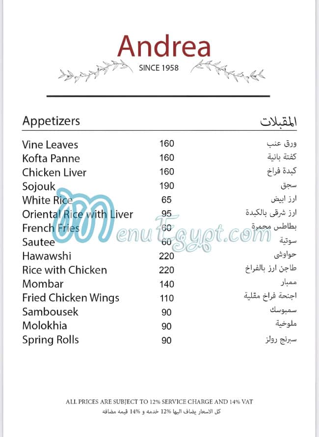 Andrea menu 3