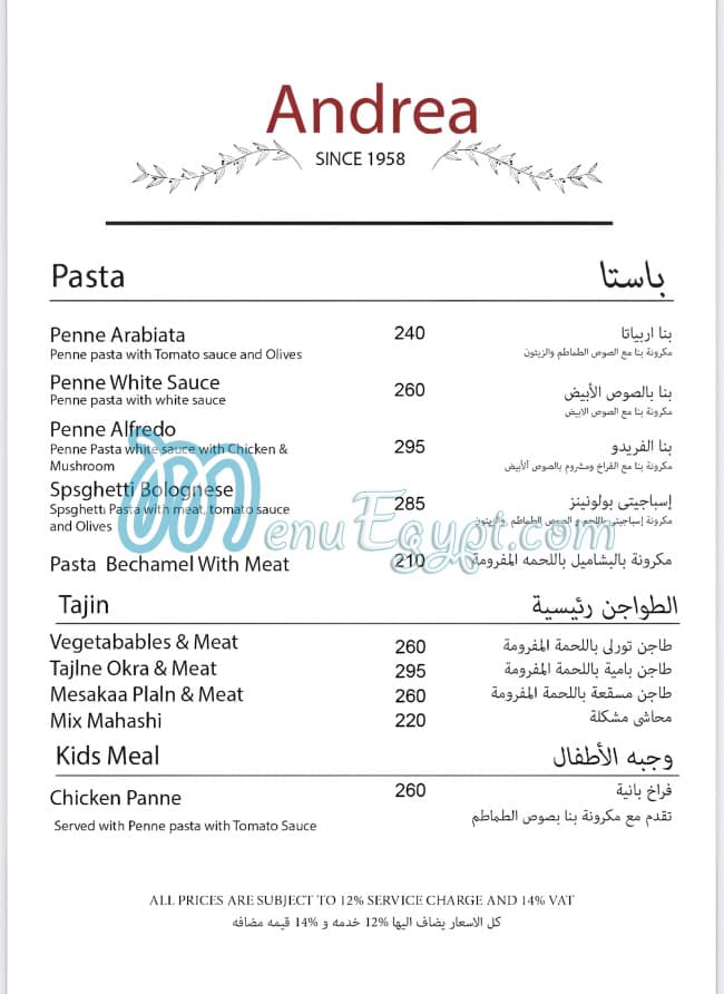 Andrea menu 4