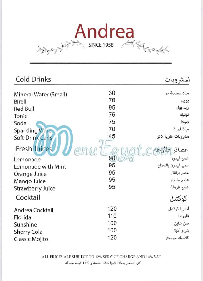 Andrea menu 7