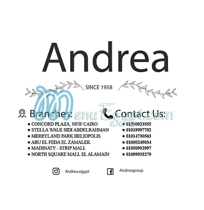 Andrea menu 9