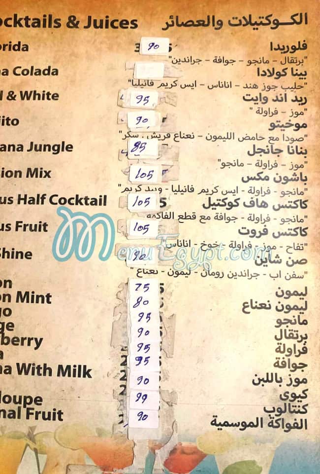 Cactus Restaurant And Cafe Cafe menu 8