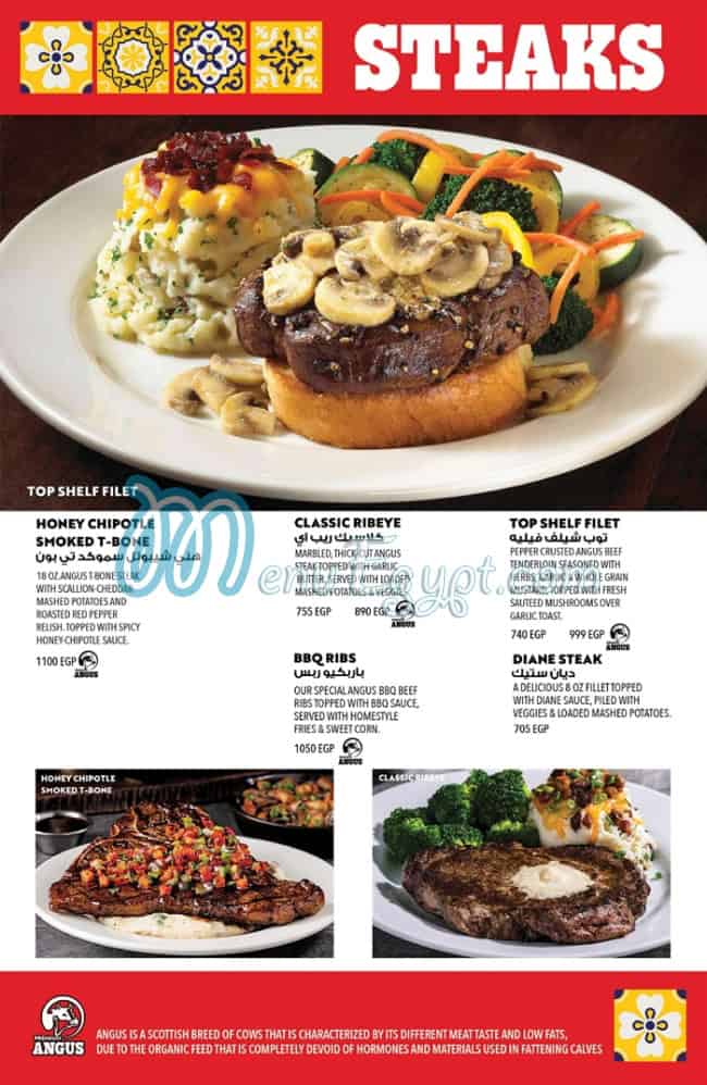 Chilis menu 16