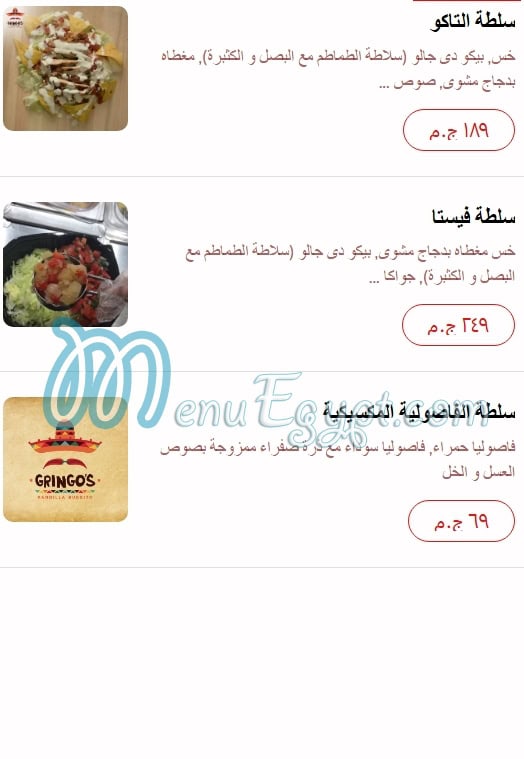Gringos Burrito Grill menu 8