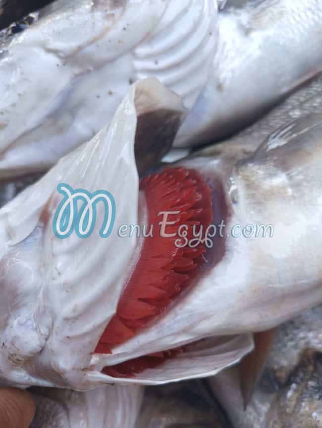 hlket elsamk for fresh fish menu 11