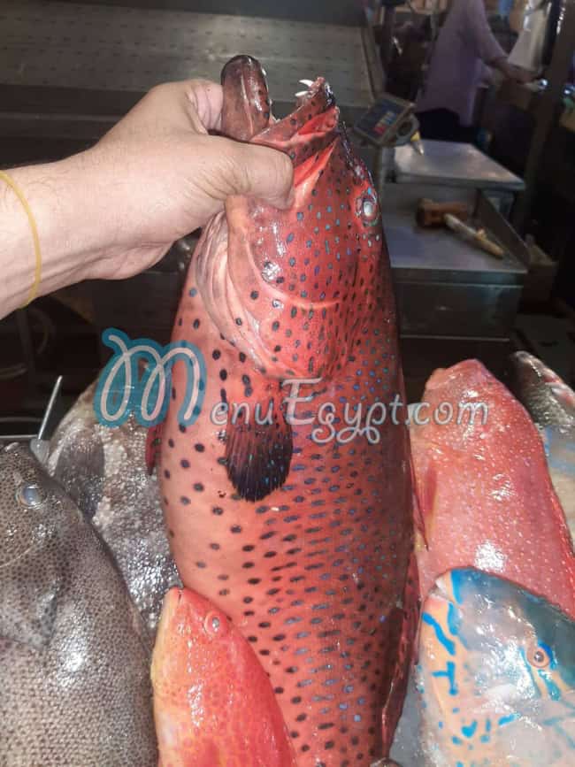 منيو اسماك المدينة المنورة - اسماك سلطان صفحة 16 - الأسعار