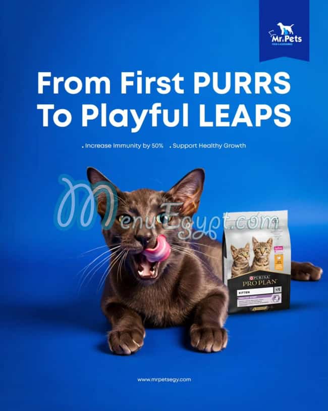 منيو مستر بيتس صفحة 2 - الأسعار