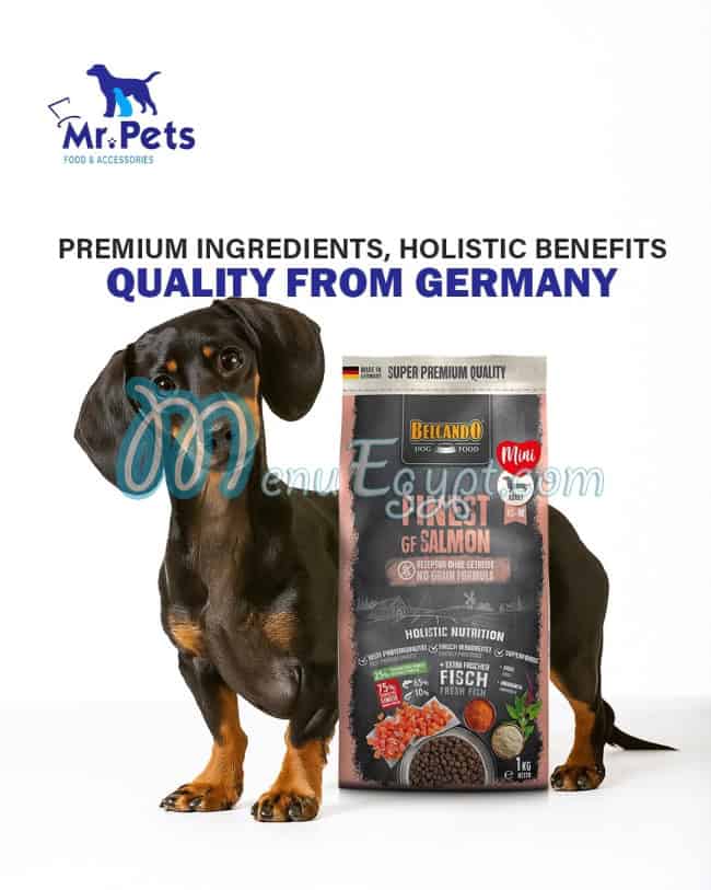 منيو مستر بيتس صفحة 3 - الأسعار