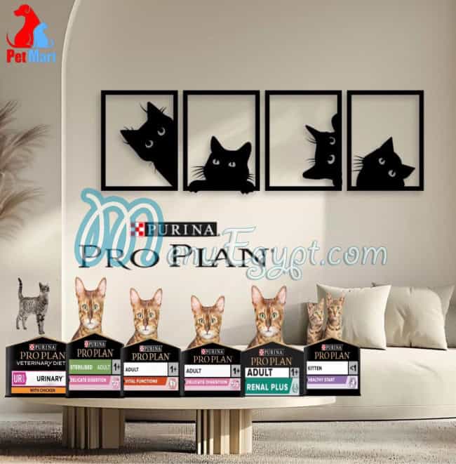 منيو بيت مارت صفحة 4 - الأسعار