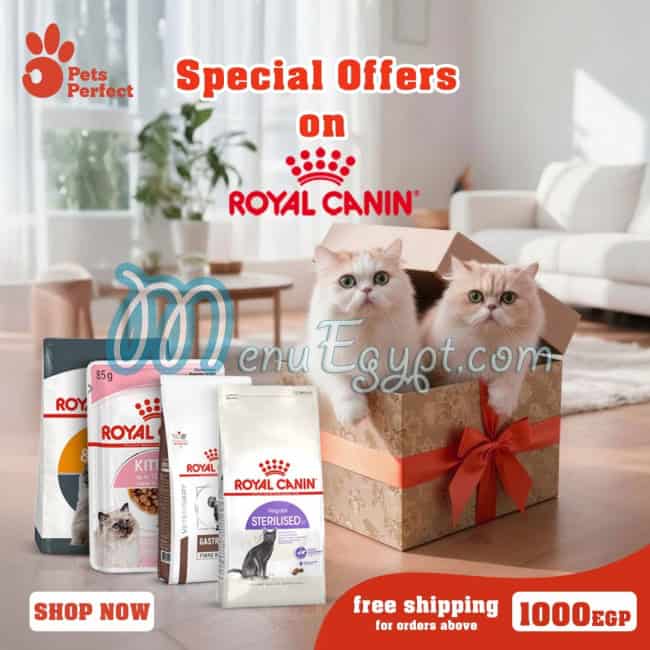 منيو بيتس بيرفيكت صفحة 3 - الأسعار