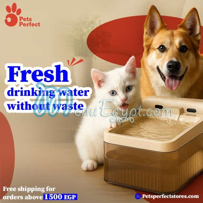 منيو بيتس بيرفيكت صفحة 5 - الأسعار