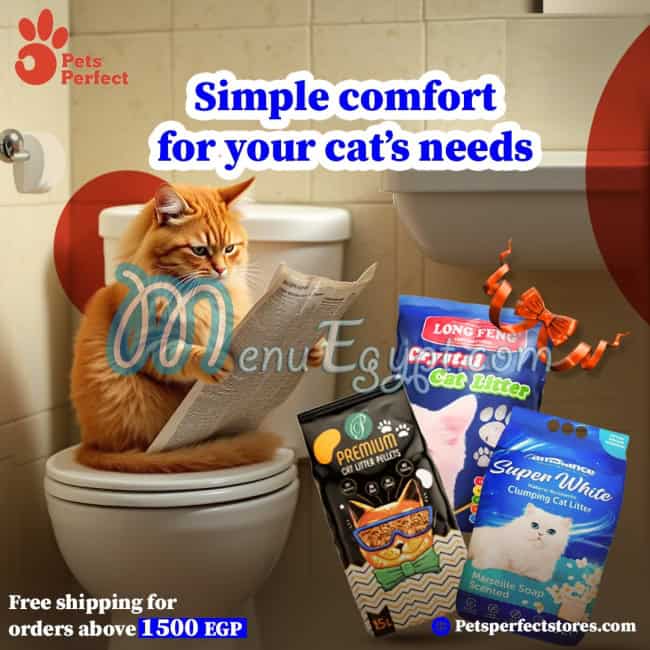 منيو بيتس بيرفيكت صفحة 6 - الأسعار