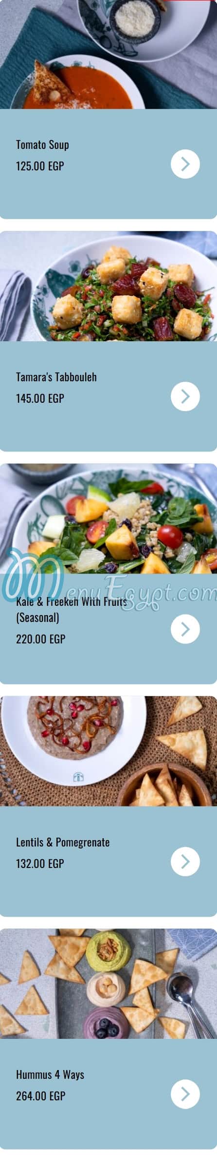 Tamara Lebanese Bistro menu 1