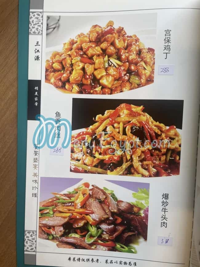 The Chinese Muslim menu 14