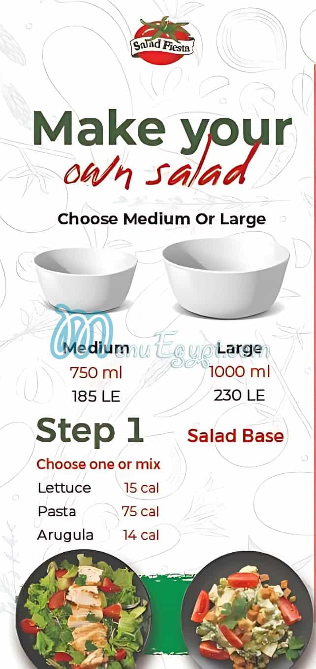 Salad Fiesta menu 1